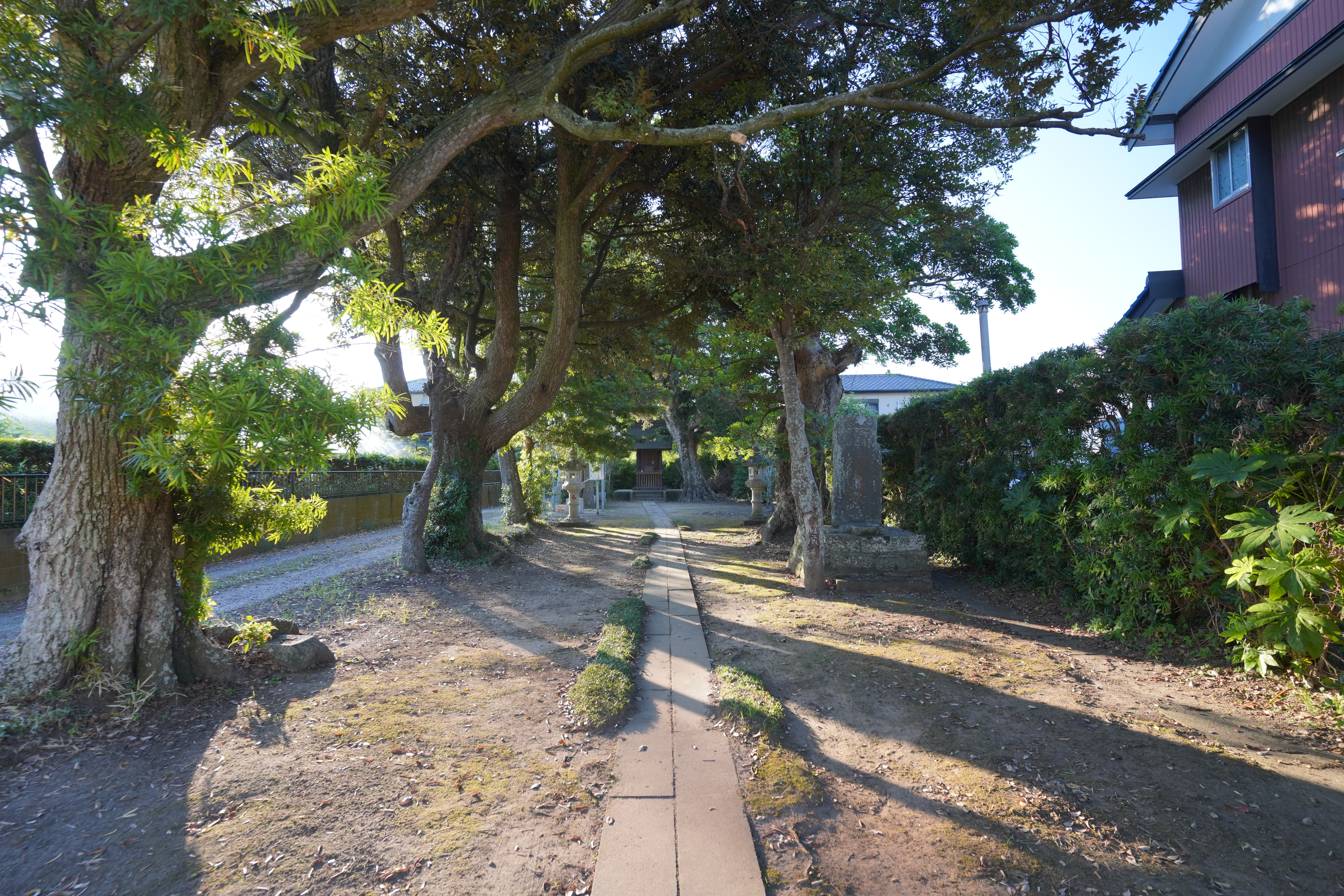 cDSC07064.JPG