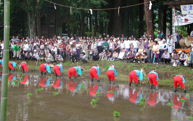 田植え1.jpg