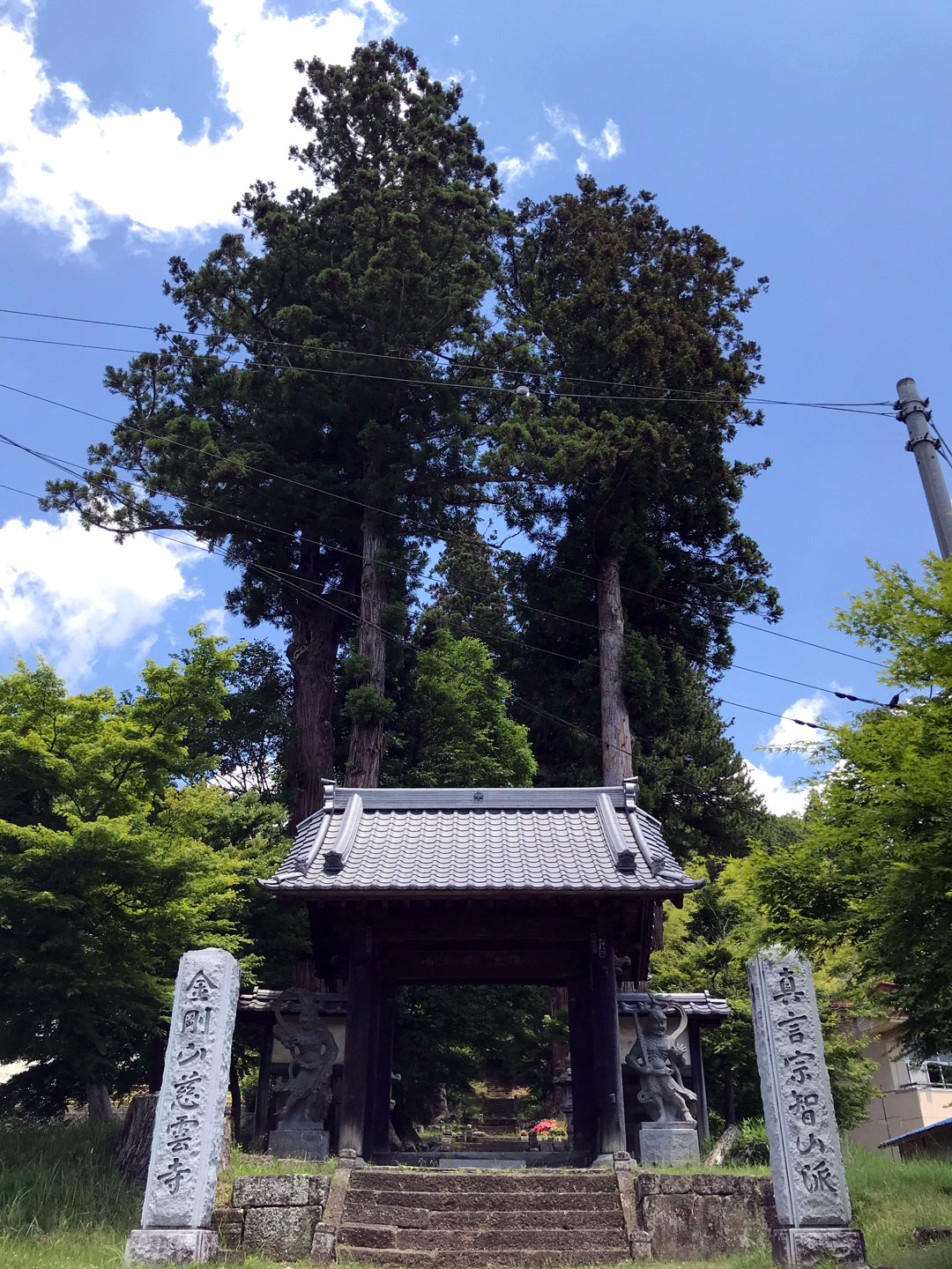 ルネ高を護ってくださる慈雲寺 年06月08日 通信制高校のルネサンス高等学校