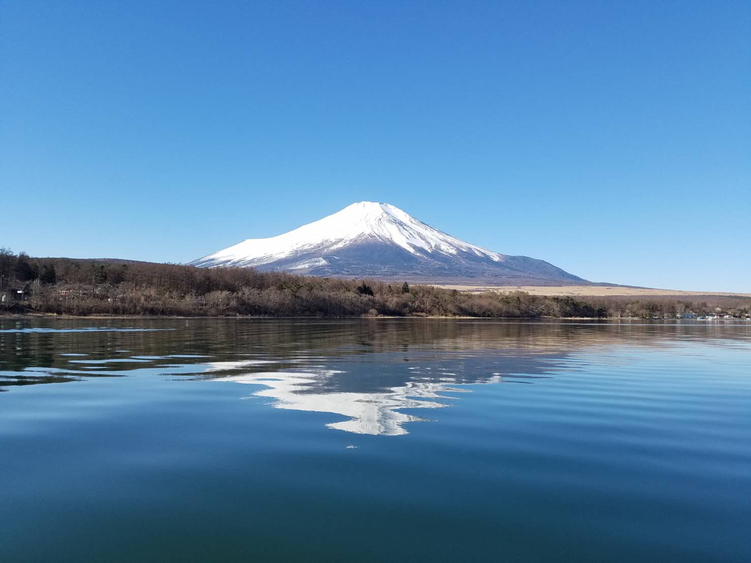 190119Mtfuji.jpg