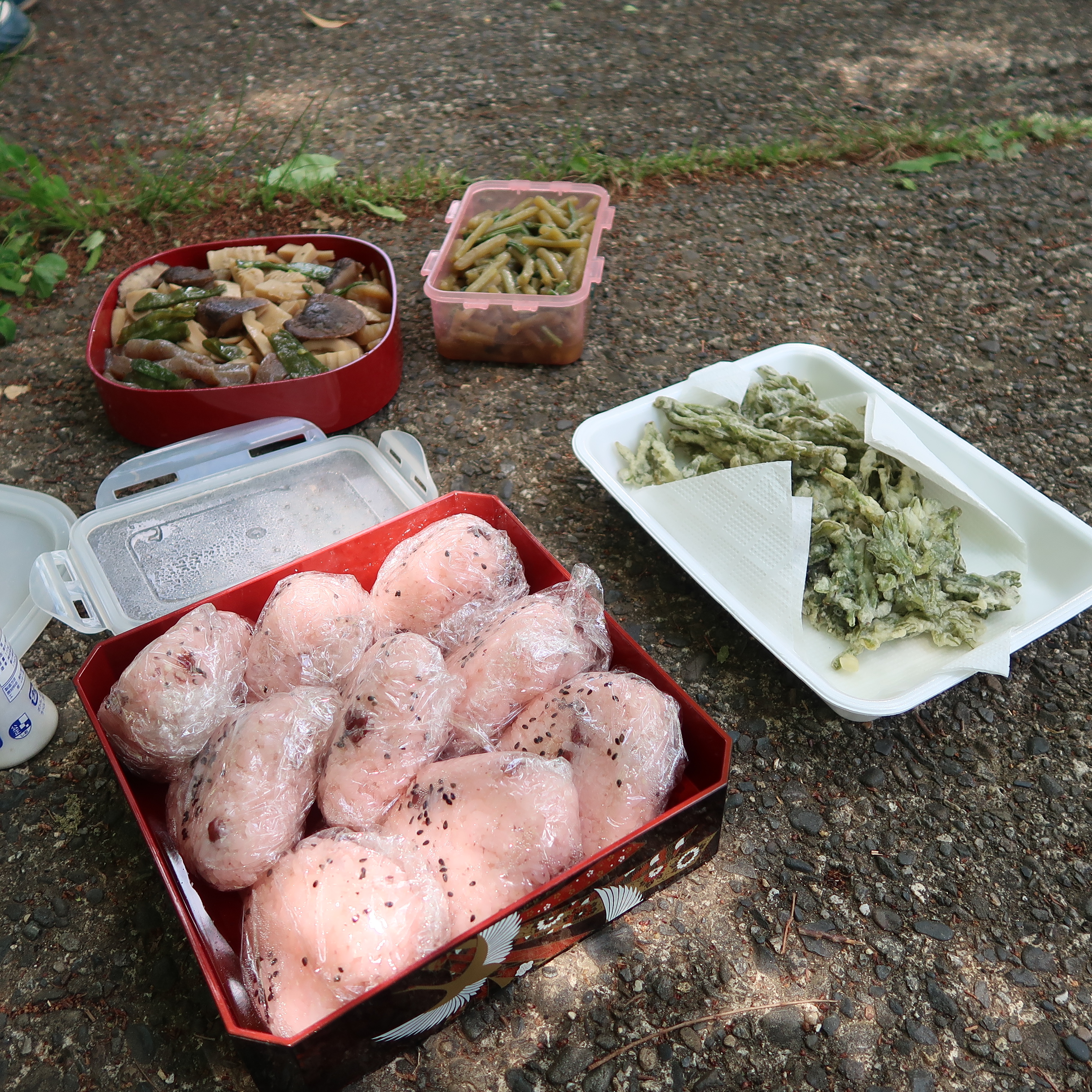 IMG_5556.JPG