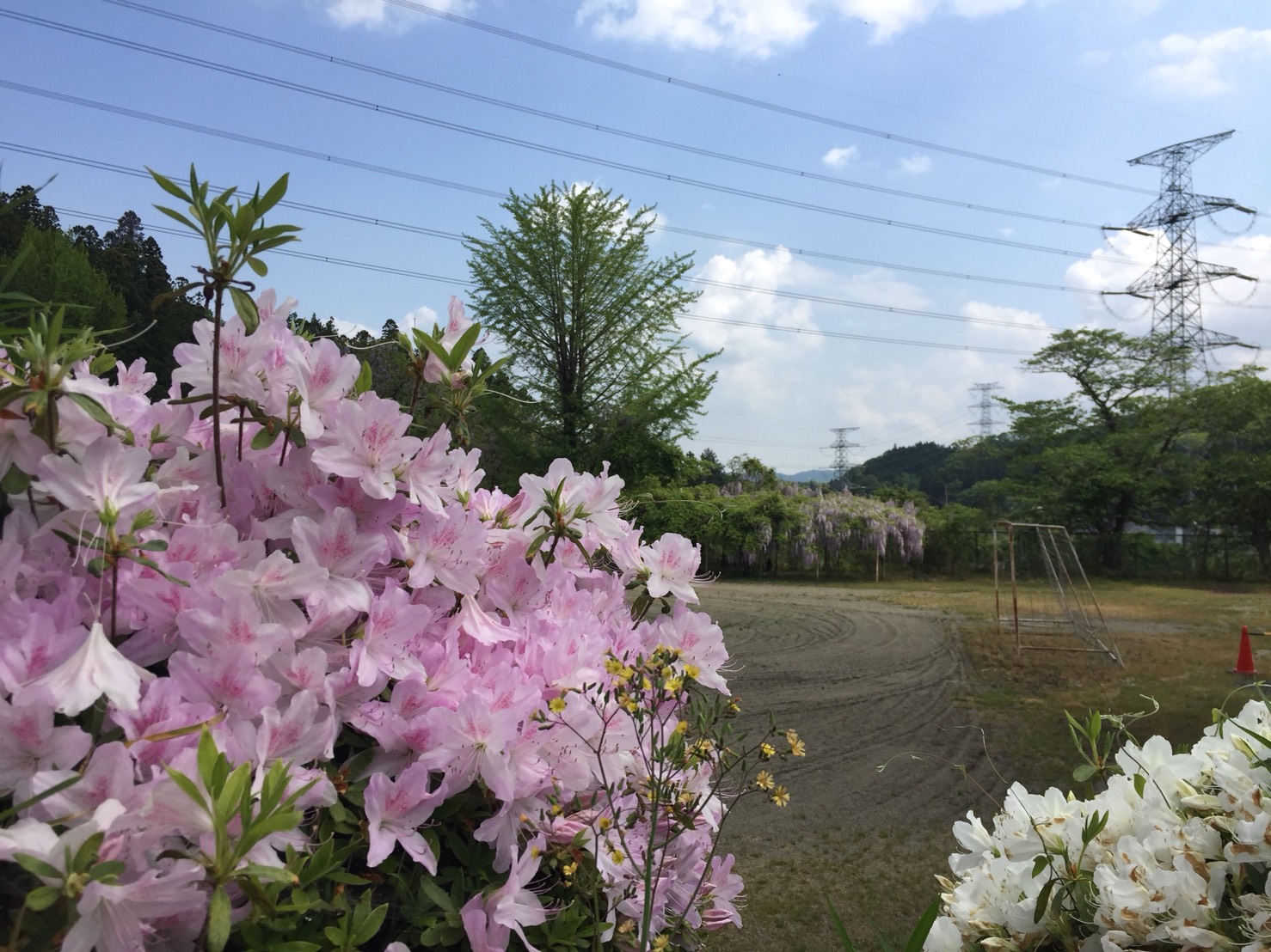 S__67928066.jpg