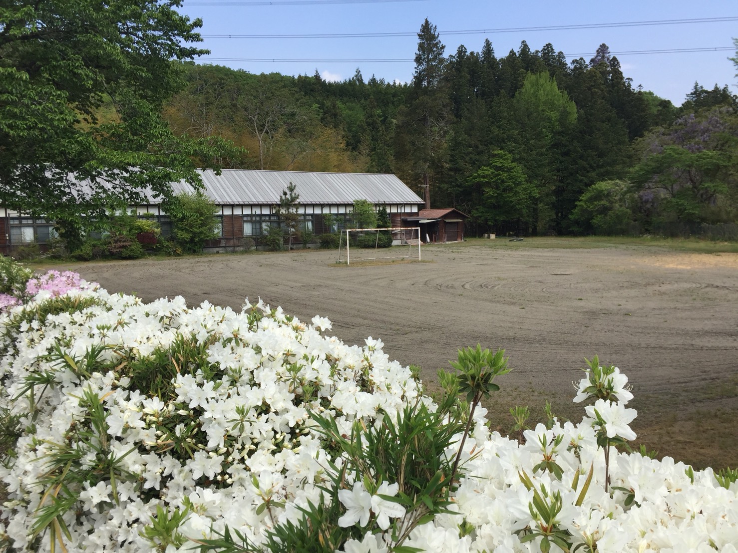 S__67928069.jpg