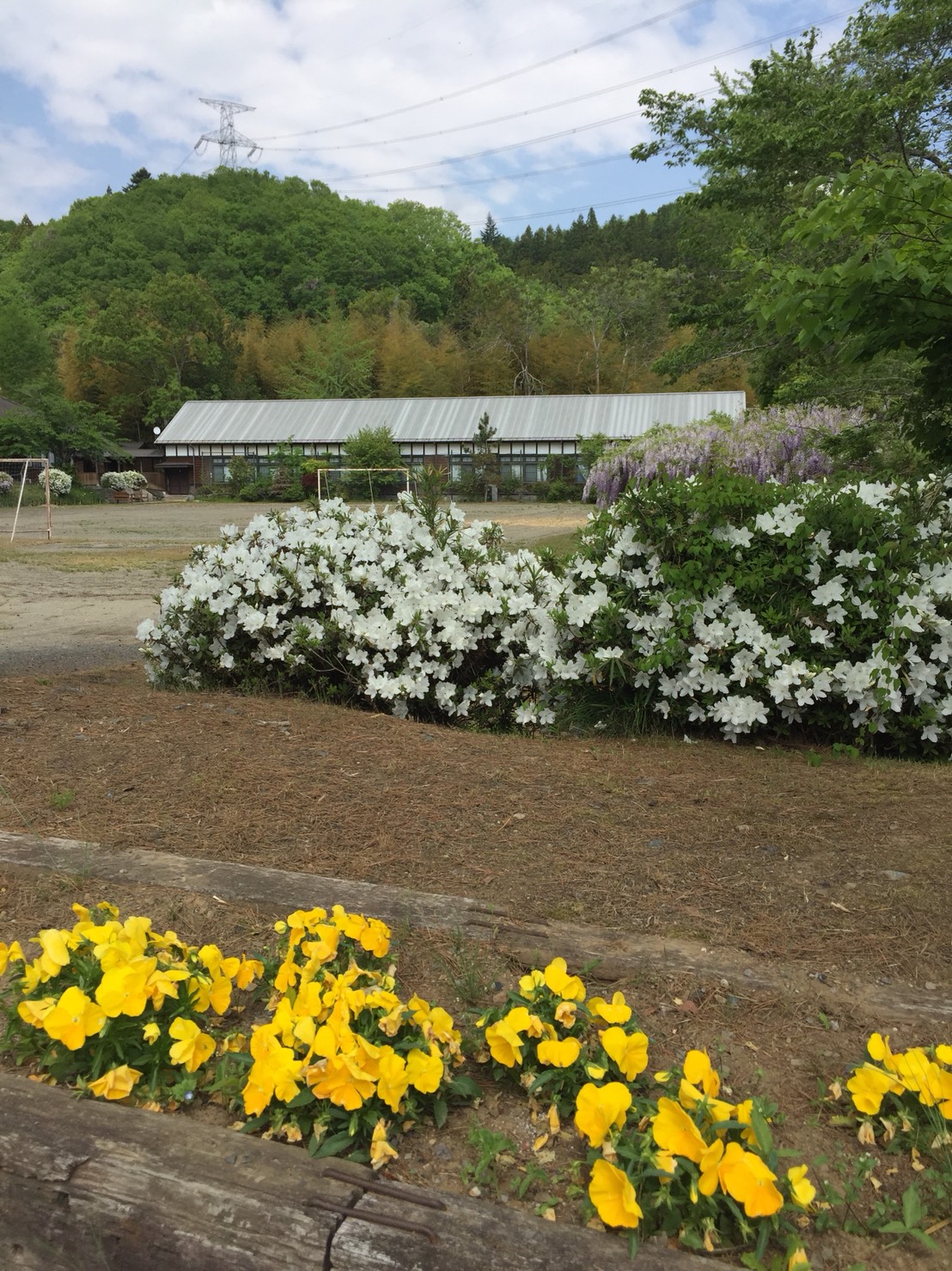 S__67928079.jpg
