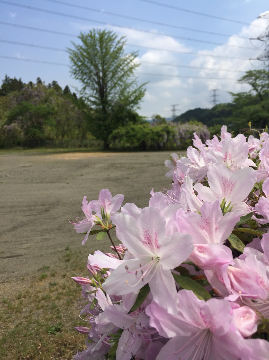 S__67928082.jpg