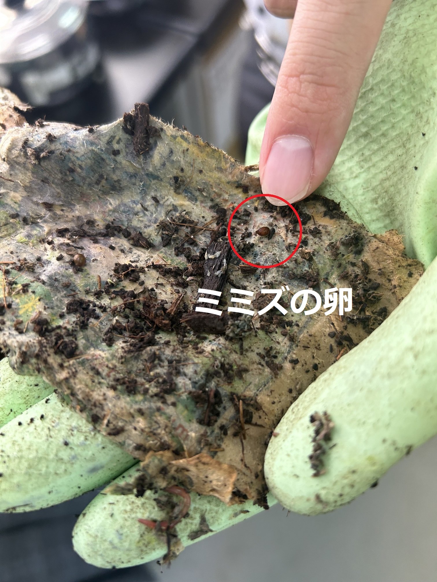 6月24日　写真提出場所（2024年6月24日（12_08））.jpg