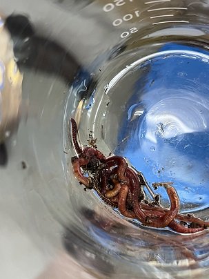 6月10日　写真提出場所（2024年6月10日（12_10））.jpg