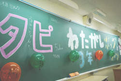 S__21569545.png