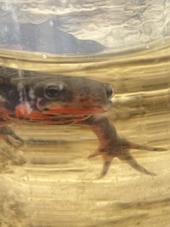 6_2　写真提出場所（2025年6月2日（12_39））.jpg