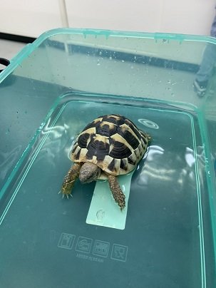 9月25日　写真提出場所（2023年9月25日（14_02）） (1).jpg