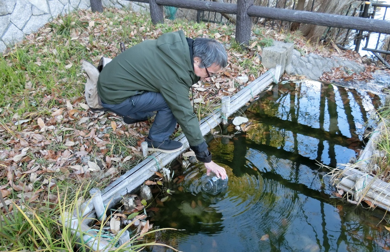 ミジンコをネット採集して今年の仕事納め 19年12月27日 通信制高校のルネサンス高等学校