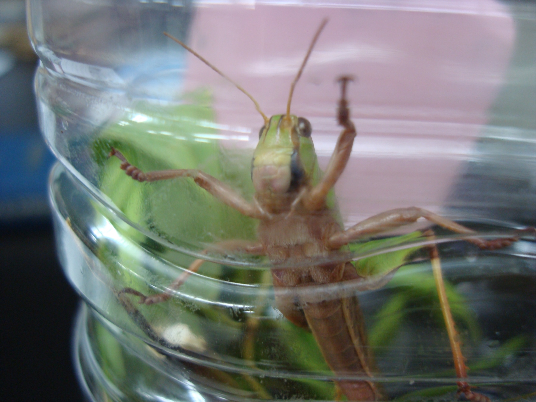 生徒同士が共鳴し合う学びスタイル 17年06月16日 通信制高校のルネサンス高等学校