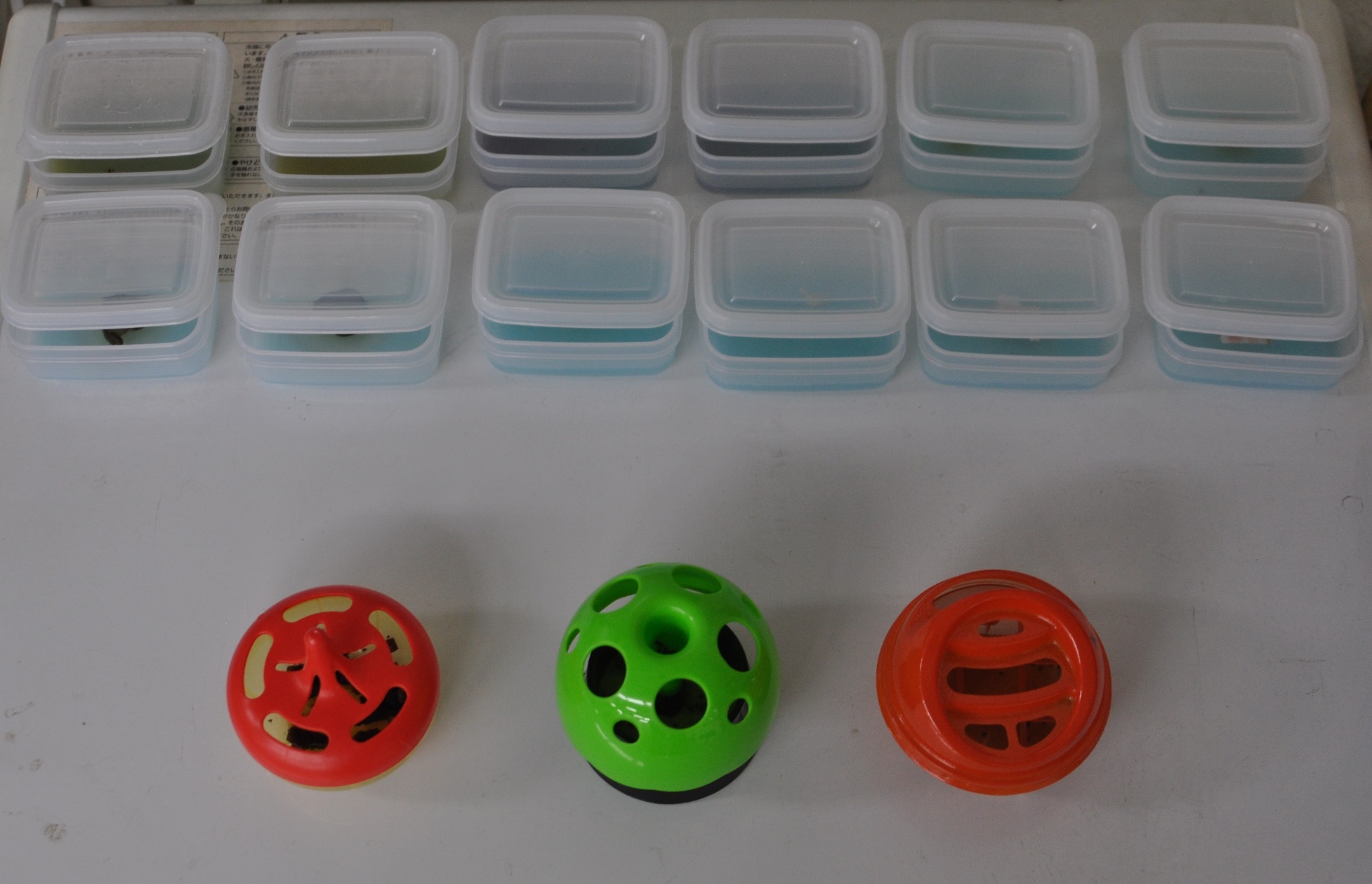 猛暑の夏に 猛威を奮うコバエ奮闘記 18年08月14日 通信制高校のルネサンス高等学校