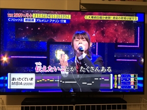 S__98795555_R.jpg