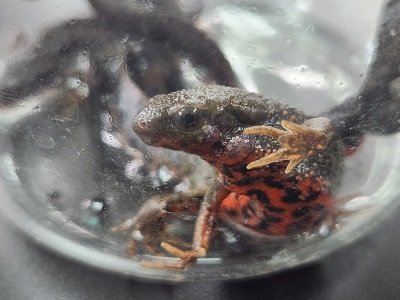 imori090402.jpg
