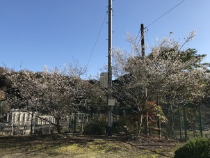 【動画付】明日はついにルネ高体験バスツアーです。