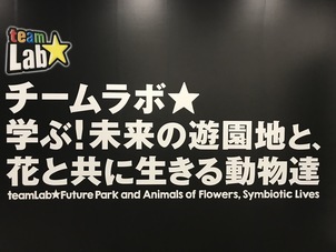 名古屋市科学館チームラボに行ってきました！