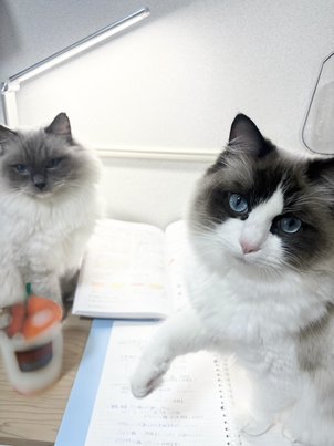 あけましておめでとうございます！！