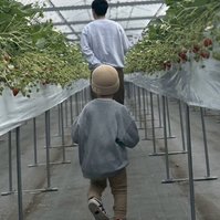 子供の成長は偉大だなと