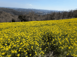 「好き」を大切に