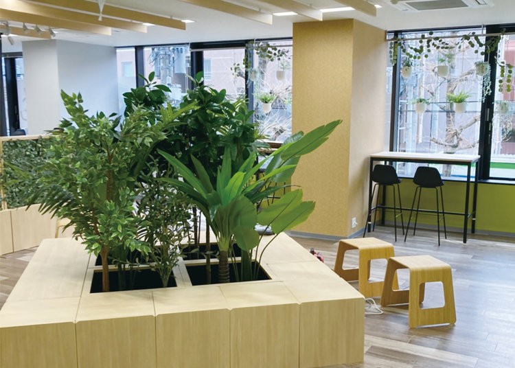 通学スタンダードコース