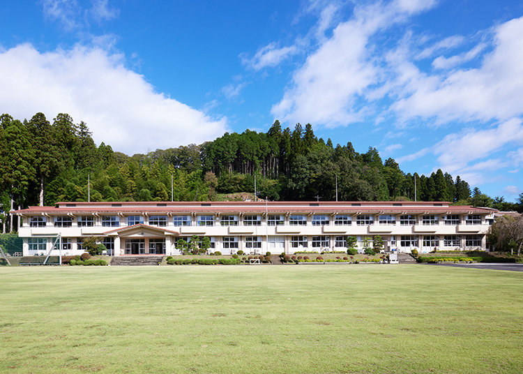 ルネサンス高等学校