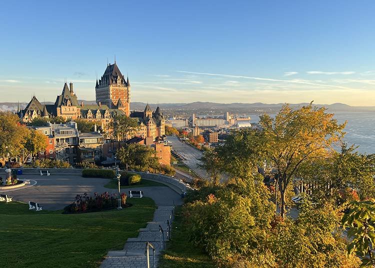 EF留学サポートコース