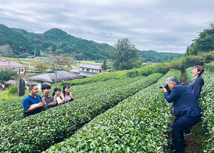 茨城新聞に茶葉収穫の様子が掲載されました